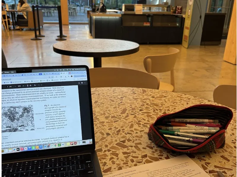 A tour of Hopkins through its study spots
