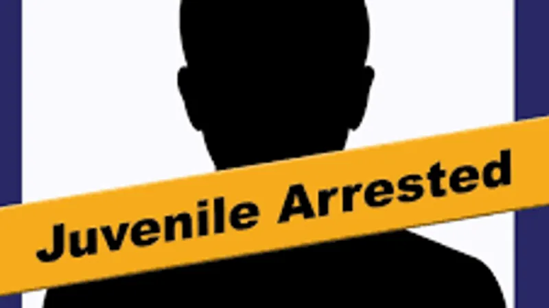 Stolen vehicle chase leads to juvenile arrest in Essex: Police