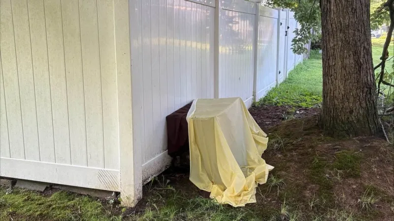 Authorities investigate after two dead dogs found in crate in Edgewood