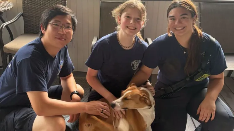 Crews rescue dog trapped under deck in Ellicott City