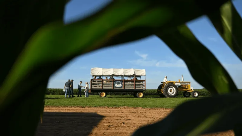 SUN: Some Maryland farms are on the brink. What they want from their next governor.