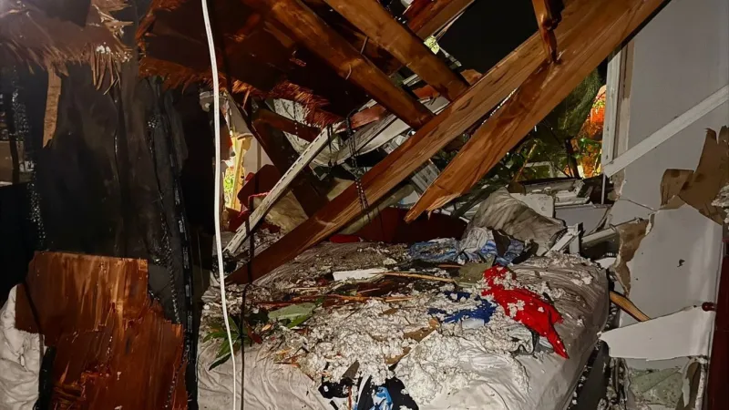 Boy rescued after large tree crashes into Prince George's County home
