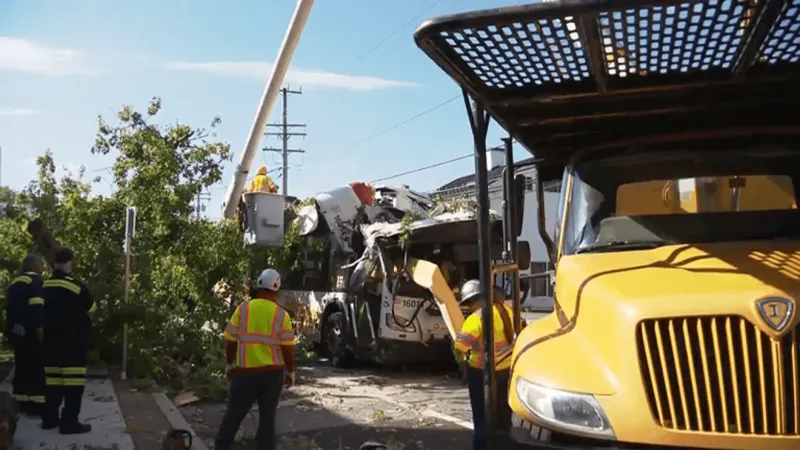 Five people taken to hospital after tree falls on MTA bus in Reisterstown