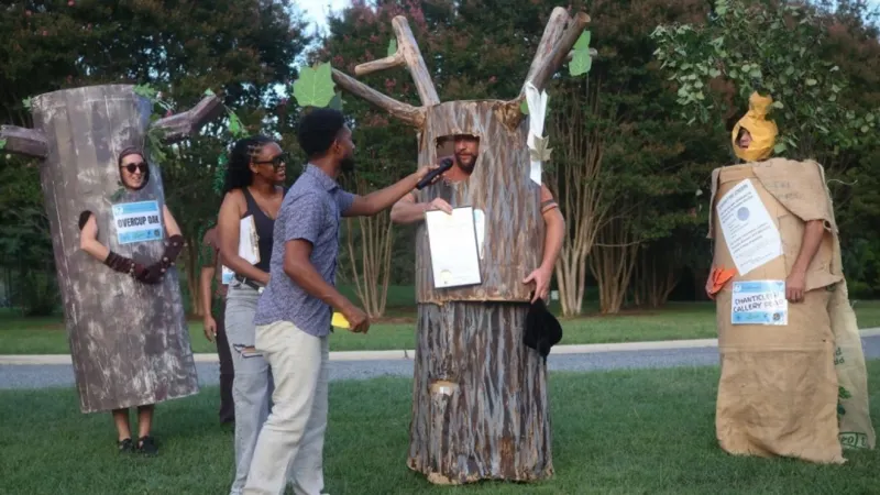 SUN: Baltimore names second official city tree, replacing Callery pear