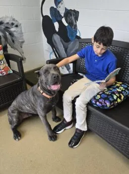 Talbot Humane Opens Registration for PAWS to Read Challenge