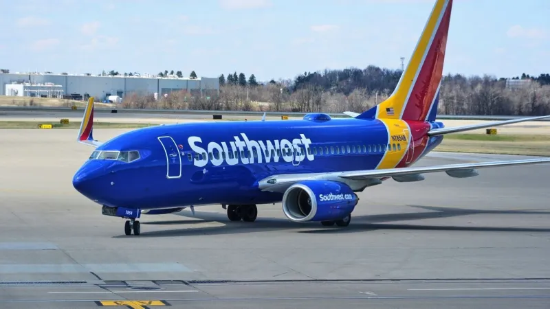 Houston-bound Southwest flight diverted to BWI Airport after bird strike near D.C.