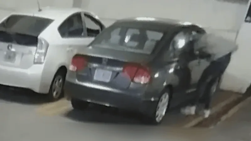 Suspect accused of 50+ car break-ins, $20K in damages in Montgomery County arrested