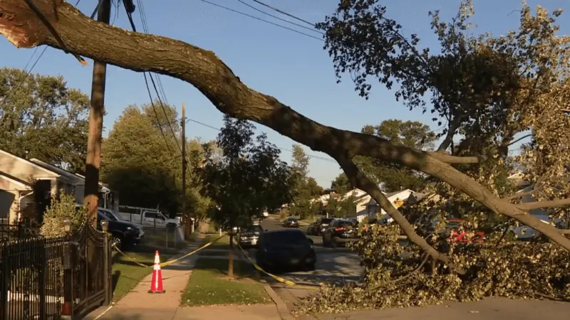 Fallen tree still partially blocks Maryland street a week after major storms