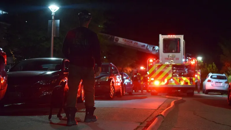 Arson investigators probe early morning fire in north Baltimore