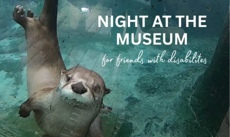 September Night at the Museum for Friends with Disabilities Event Celebrates 15 Years