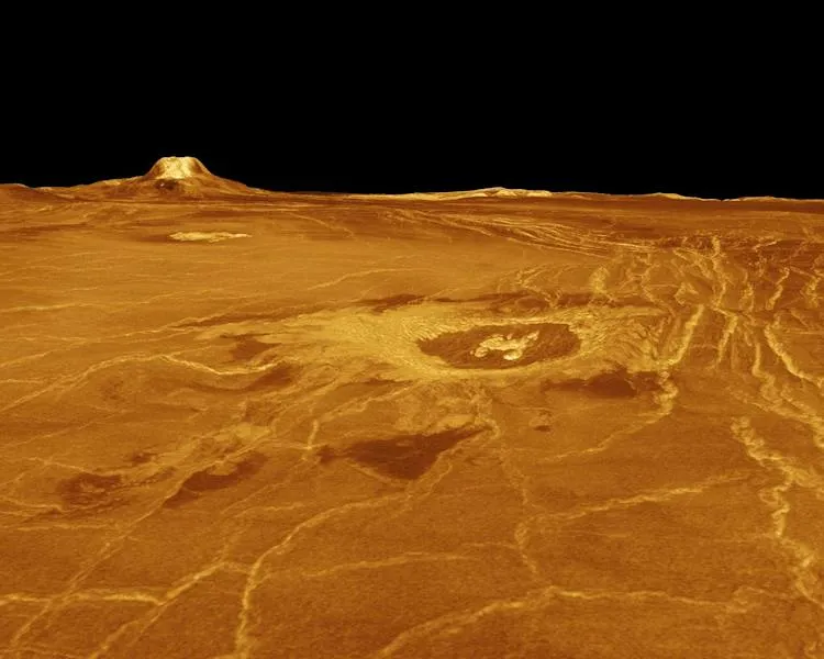 Science news in review: Sept. 13