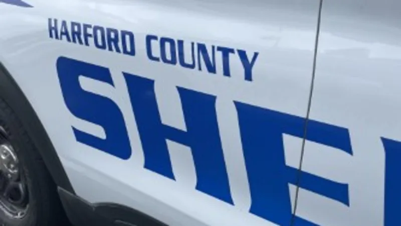 Bel Air woman dies after being struck by car