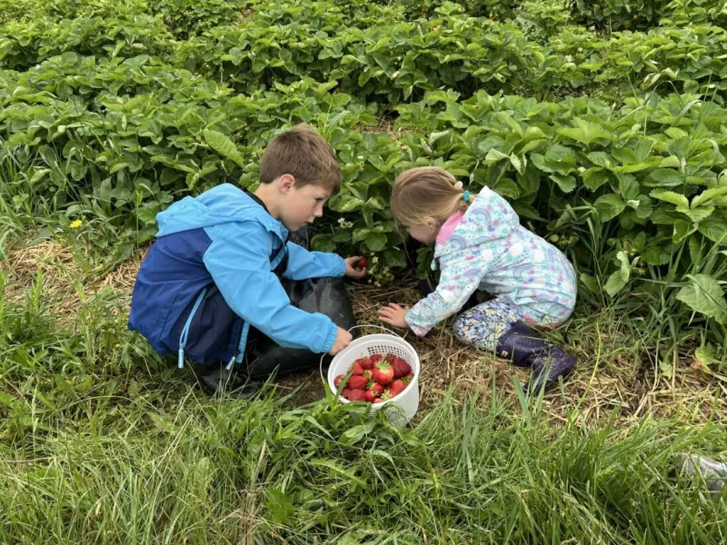 Sundays on the Farm Unites Jews and Their Natural Tradition