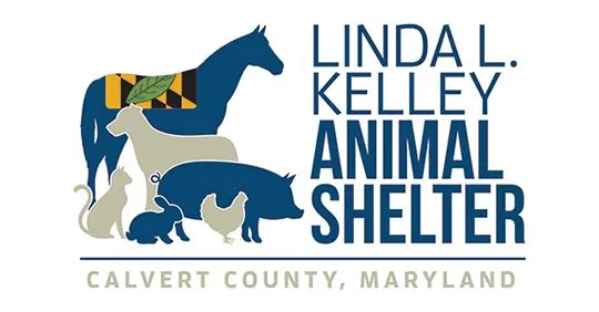 Linda L. Kelley Animal Shelter Announces September Animal Promotions