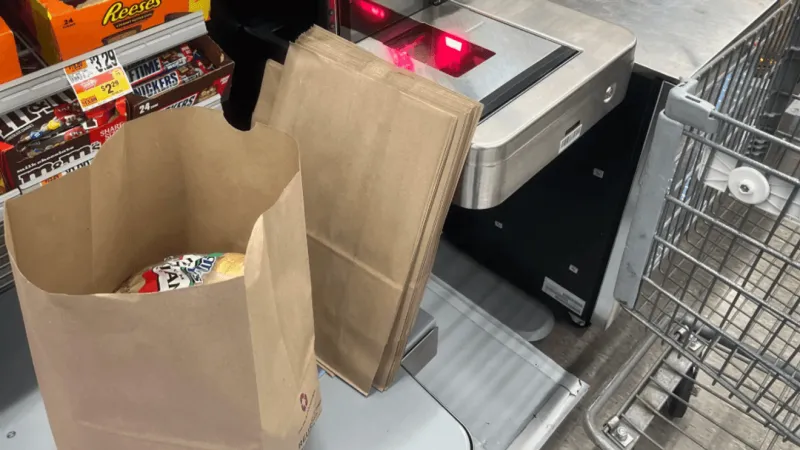 SUN: Paper bag fee may soon become optional in Anne Arundel County