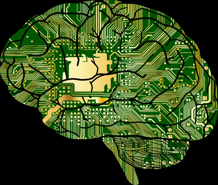 How does AI think? Idan Blank speaks on looking past output