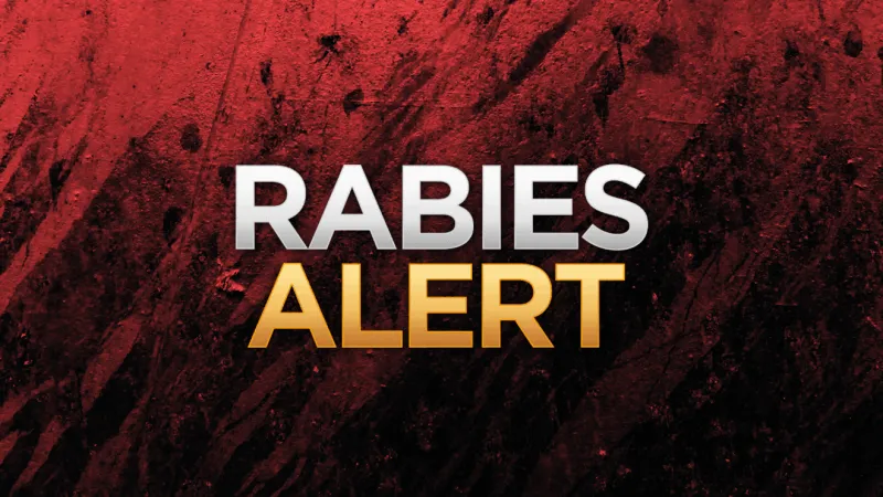 Rabid raccoon confirmed in Harford County; officials warn of possible exposures