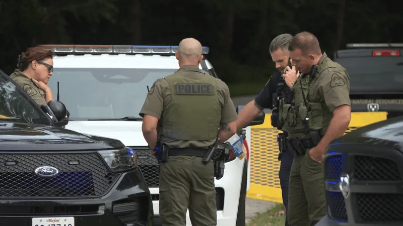 Two juveniles arrested after Sparrows Point road rage report ends in crash