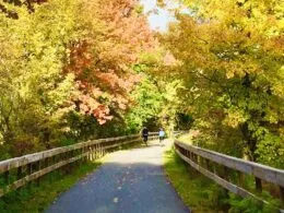Queen Anne's County Seeks Applicant for Bicycle and Pedestrian Advisory Committee