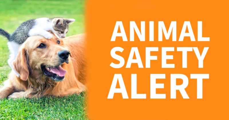 Public Safety Issues Animal Safety Alert Due to Forecast High Temperatures