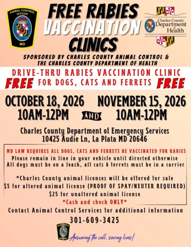 Charles County Department of Health Issues Rabies Alert After Bat and Raccoon Test Positive