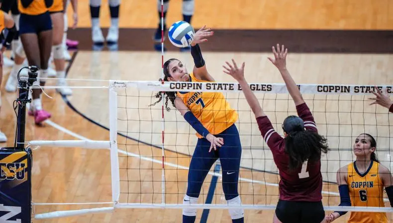 Volleyball Matches Program-Record with 10th Straight Win, Defeats Loyola in Five