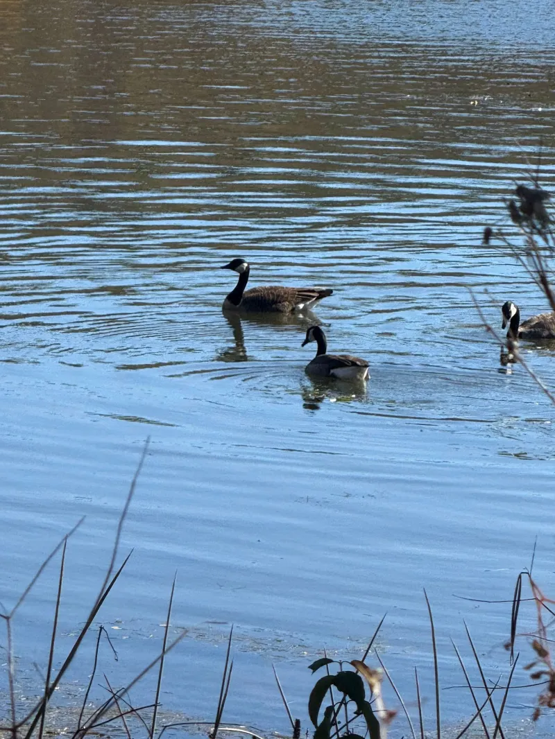 Deep Creek Daily Notes Blog October 1