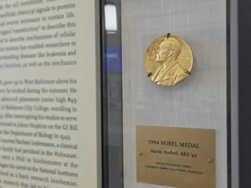 Nobel Statistics: A look at the relationship between Hopkins and the Prize