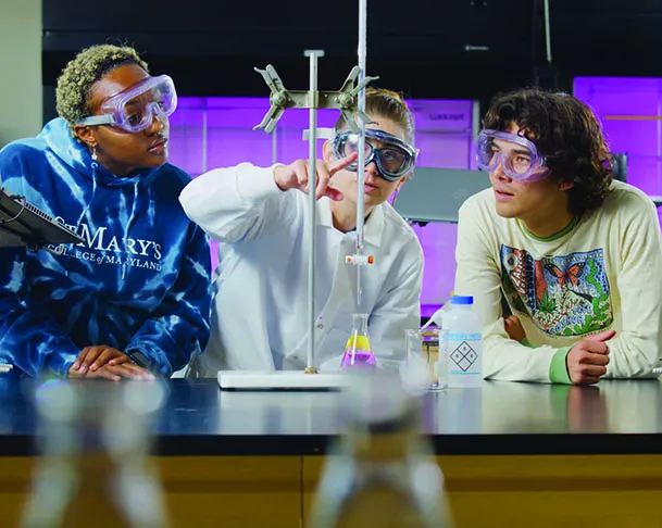 Highlighting the Strength of St. Mary's College