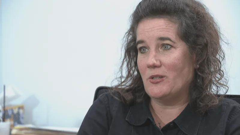 Howard County Council erupts over inspector general's access to county records