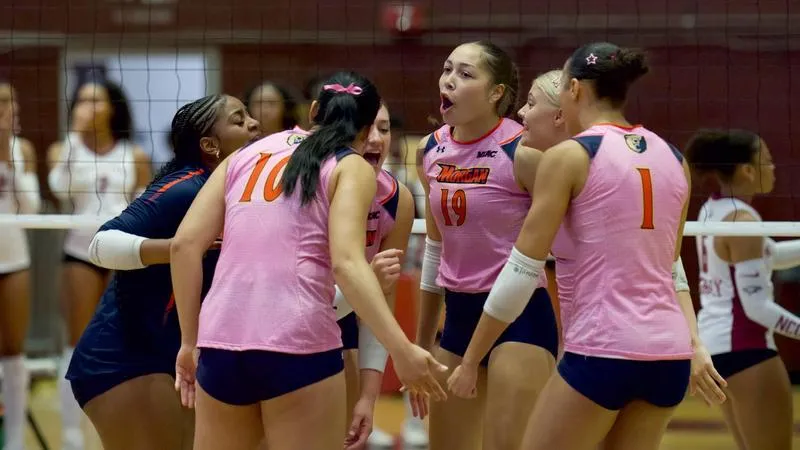 Volleyball Notes: Bears To Host Delaware State In Annual Pink Match For Homecoming