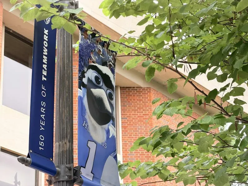 A look into the SGA Advisor position