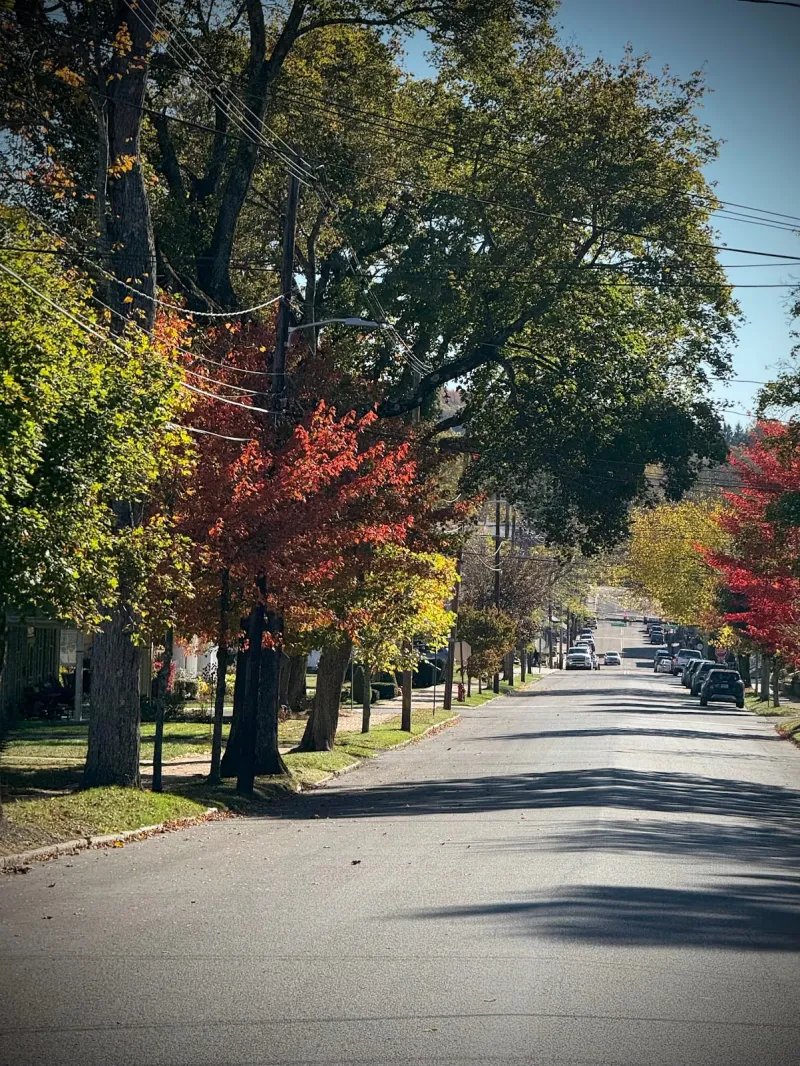Deep Creek Daily Notes Blog October 13