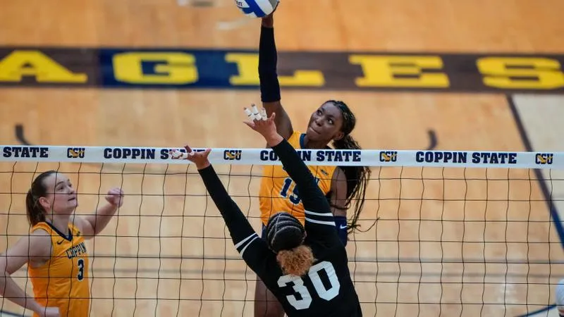 Volleyball Falls To Towson as 14-Match Win Streak Comes to an End