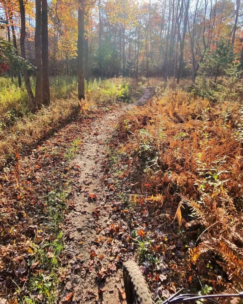 Deep Creek Daily Notes Blog October 19