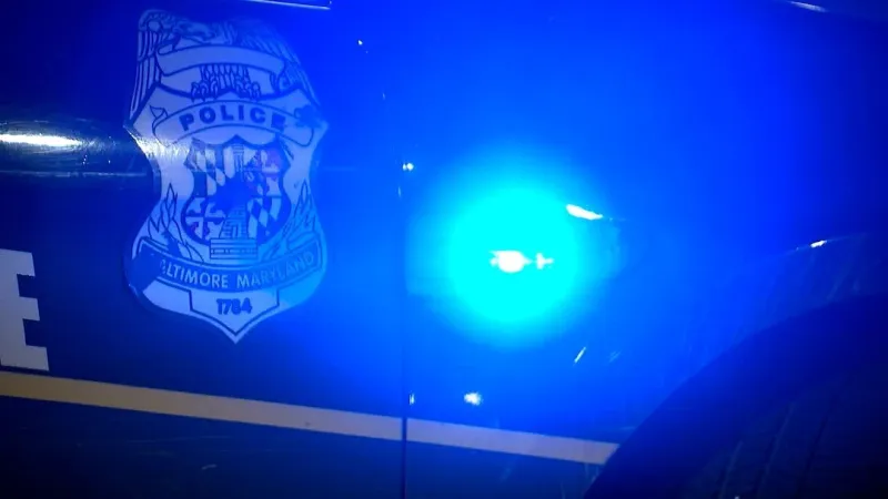 Two men wounded in Bridgeview Road shooting; person of interest in custody