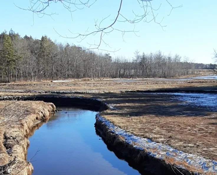 Lead hunting ammo is on the way out at Rachel Carson refuge