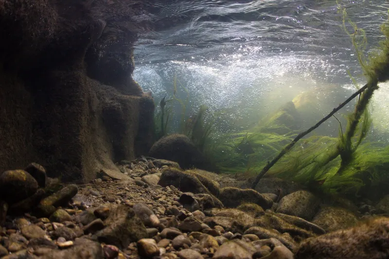The Restoration of the Kennebago River
