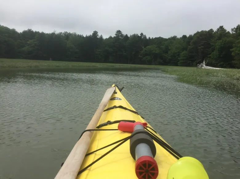 Your Land: A watershed moment