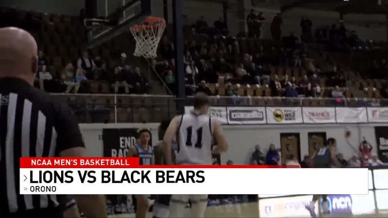 Black Bears win again