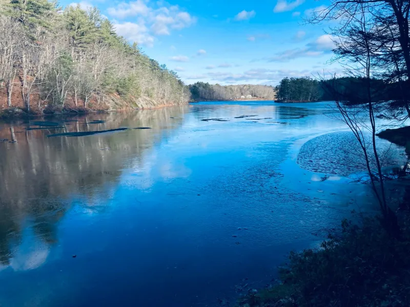 Cooley Preserve at Center Pond (Phippsburg, ME)
