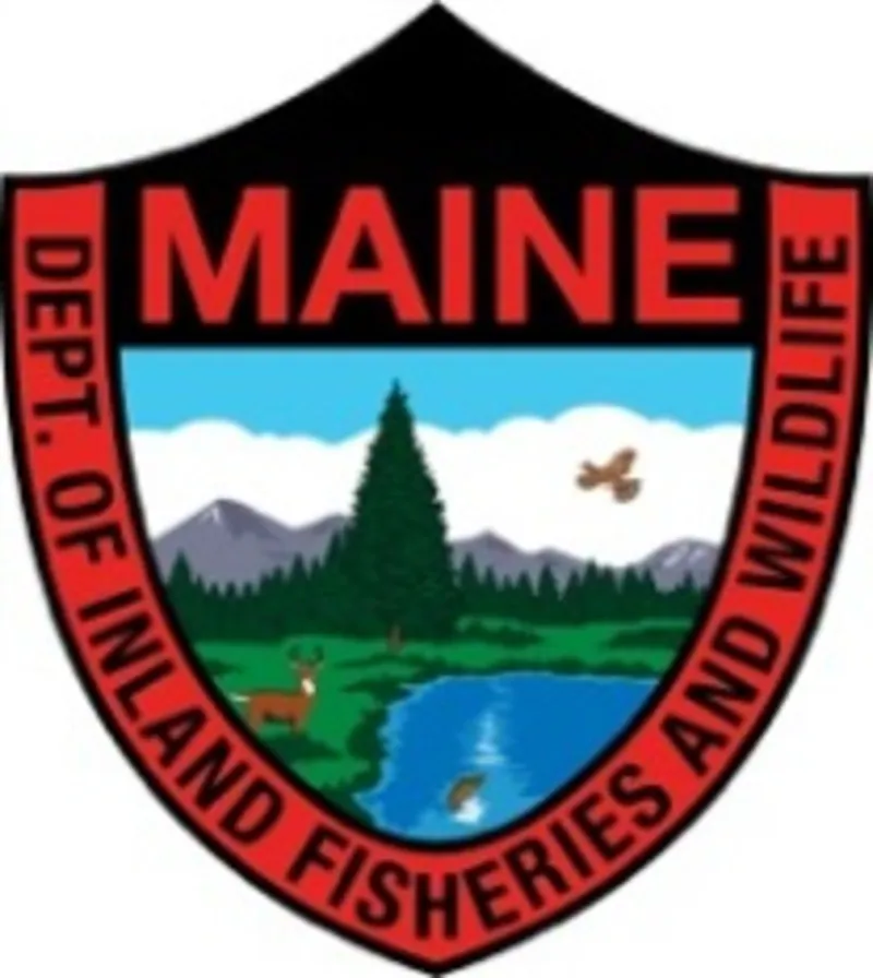 2 dead deer dumped off I-95 in Aroostook County