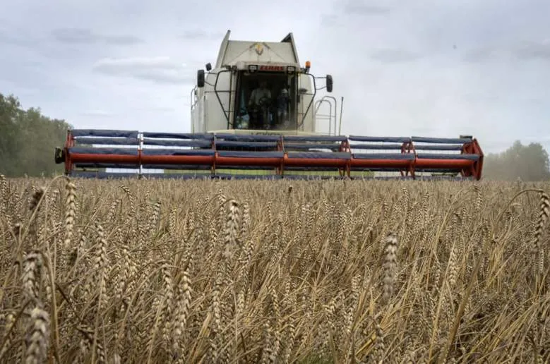 Russia reaped $1 billion of wheat in occupied Ukraine, NASA says