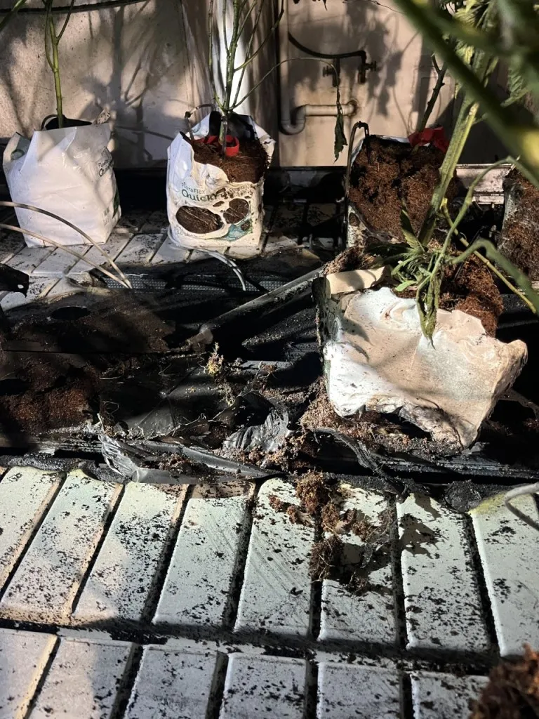 Firefighters extinguish smoky fire Saturday at medical marijuana growing facility in Gorham