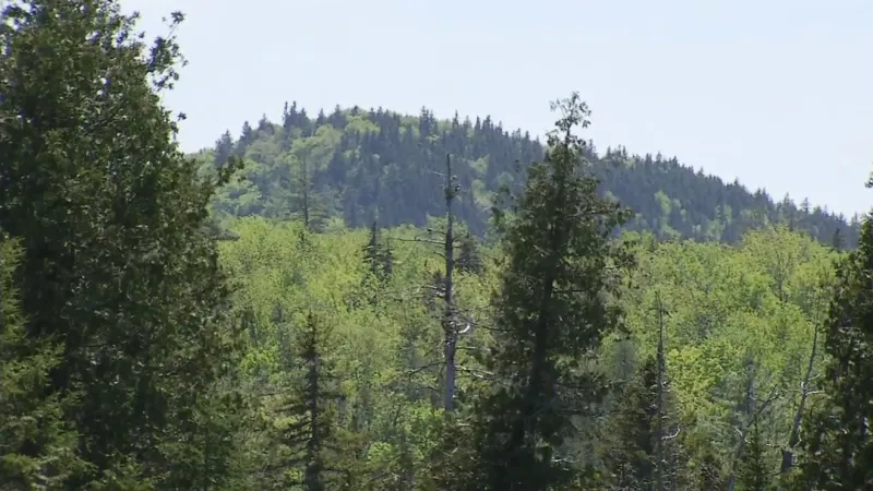 Passamaquoddy tribe gets $5 million to fight climate change