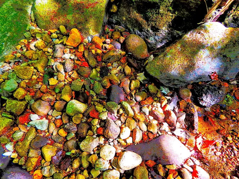 Local artist showing at New Wah Garden in Jay