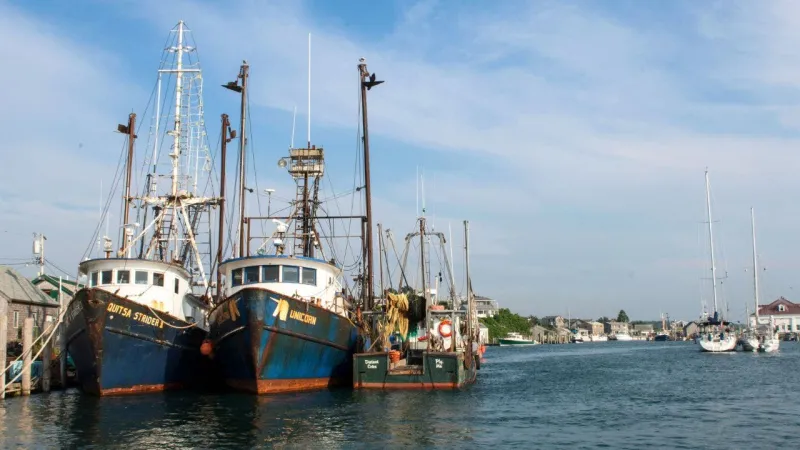 Trump vows to 'unleash' commercial fishing off New England, reversing Obama-era Atlantic restrictions