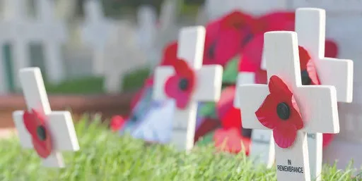 VA, non-profits team up to honor vets for Memorial May