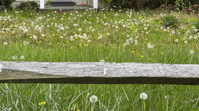 Drought holds steady, enjoy patio weather, rain ahead