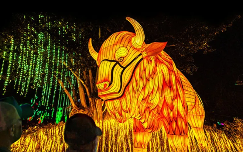 Wanderlight Trail to Light Up Minnesota Zoo This Summer